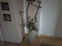 dd619873.l.webp