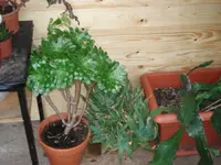 DSC08890.webp