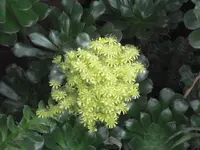 DSC08663.webp