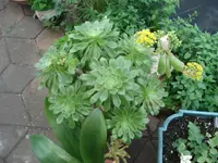 DSC08937.webp