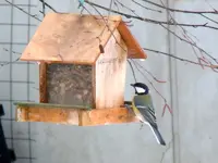 DSCN4427.webp