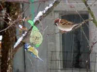 DSCN4443.webp
