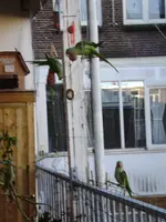 winter11 003.webp