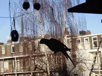 winter11 004.webp