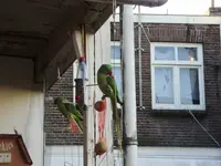 winter11 005.webp