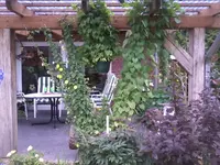 Foto0042.webp