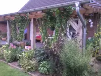 Foto0043.webp