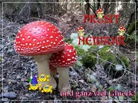 Copy (2) of Silvester (14).webp