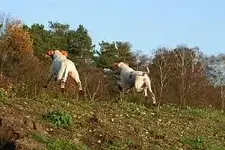 3. EvaKa.... Überflieger.webp