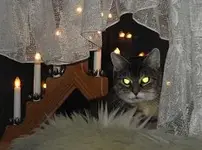 23. MFin  Sind die Lichter angezündet.webp