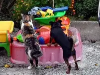 29. bobbycharly SPIELSTUNDE, den Laster nehm aber ich, was nimmst Du.webp