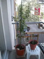 107_0187.webp