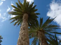 P1000686.webp