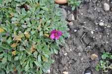 DSC_8884.webp