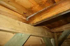 Schuppen7.webp Schuppen7.webp