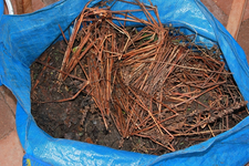 die erste Tüte Gartenabfall.webp