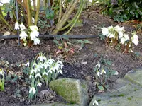 garten 2012 005.webp