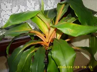 DSCI1246.webp