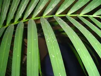 DSC00138.webp