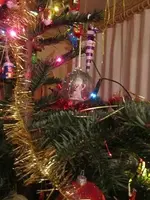 IMG_0106k.webp