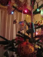 IMG_0107k.webp