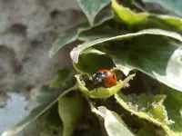 100_0550.webp