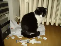 IMGP4866.webp