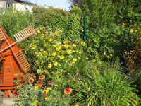 Susanne am Zaun.webp