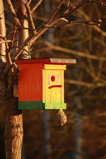 Meisenvilla in der Morgensonne.webp