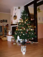 ALIM0948.webp