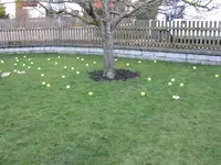 IMG_2133.webp IMG_2133.webp