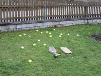 IMG_2123.webp IMG_2123.webp