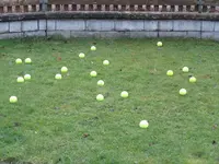 IMG_2124.webp IMG_2124.webp