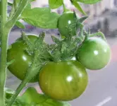 20111229.webp