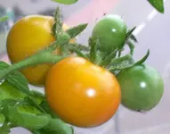 20120102.webp