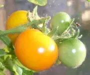 20120103.webp