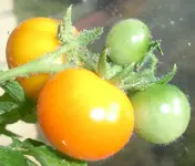 20120104.webp