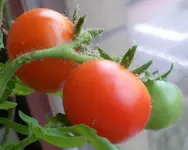 20120108.webp