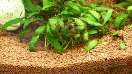 P1020035.webp