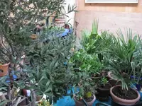 Überwinterung 2012.webp