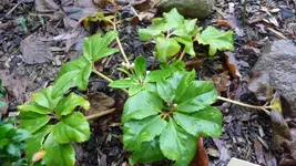 K800_Bilder vom 8.1.2012 002.webp