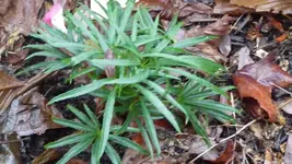 K800_Bilder vom 8.1.2012 003.webp