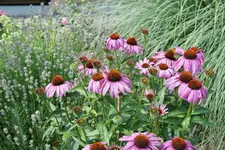Wettbewerb_DSC05480.webp