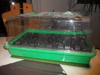 DSCN1141.webp