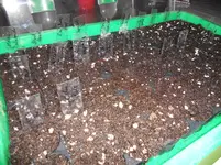 DSCN1138.webp
