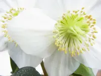 k-RIMG0099.webp
