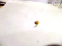 1Paprika.webp