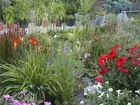 Gartenteich3jahr.webp
