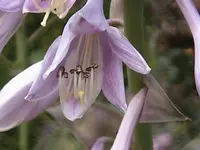 DSC00016.webp