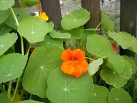 Urlaub 2011 113.webp